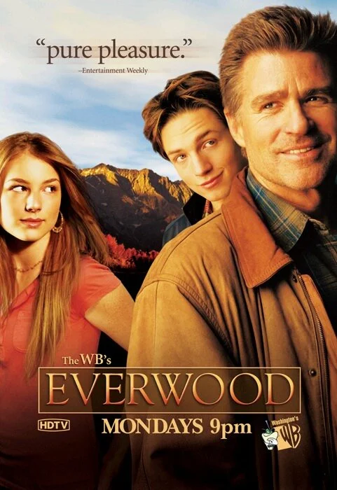 Любовь вдовца - постер сериала